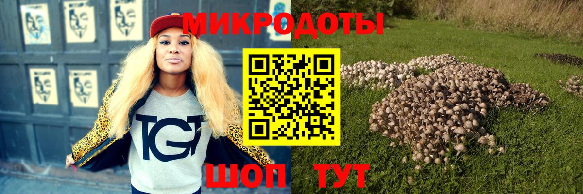 Псилоцибиновые грибы Cubensis Семёнов